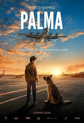 poster for Palma 2021