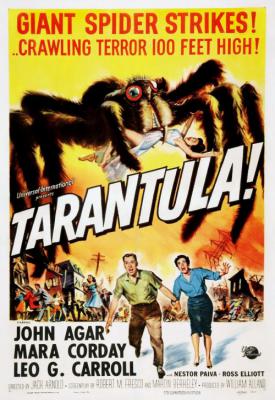 image for  Tarantula movie