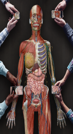screenshoot for Human Anatomy Atlas 2021: Complete 3D Human Body