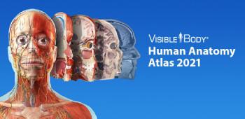 graphic for Human Anatomy Atlas 2021: Complete 3D Human Body 2021.1.68