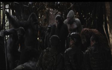 screenshoot for War for the Planet of the Apes