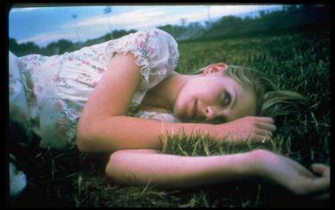 screenshoot for The Virgin Suicides