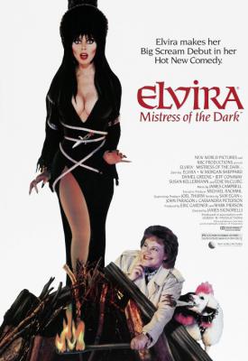 image for  Elvira: Mistress of the Dark movie