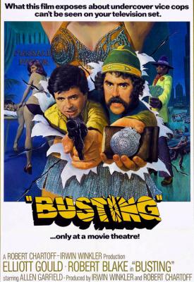 image for  Busting movie