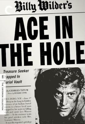 image for  Ace in the Hole movie