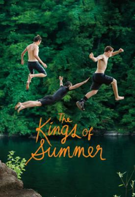 image for  The Kings of Summer movie