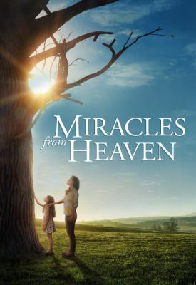image for  Miracles from Heaven movie