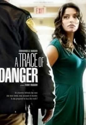 poster for A Trace of Danger 2010