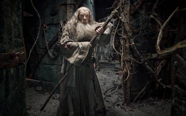 screenshoot for The Hobbit: The Desolation of Smaug